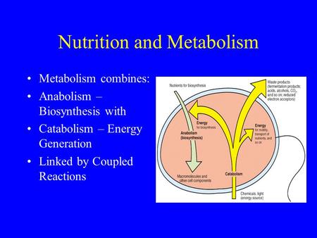 Nutrition and Metabolism Metabolism combines: Anabolism – Biosynthesis with Catabolism – Energy Generation Linked by Coupled Reactions.