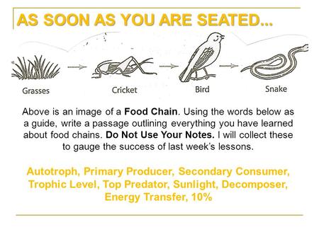 AS SOON AS YOU ARE SEATED... Above is an image of a Food Chain. Using the words below as a guide, write a passage outlining everything you have learned.