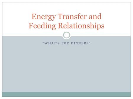 Energy Transfer and Feeding Relationships