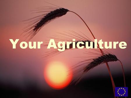 Your Agriculture. What is the challenge? What can policy do? What can you do?
