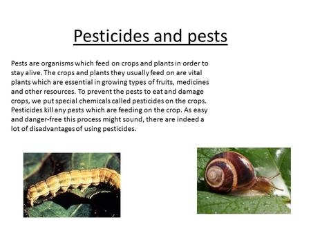 Pesticides and pests Pests are organisms which feed on crops and plants in order to stay alive. The crops and plants they usually feed on are vital plants.