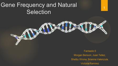 1 Gene Frequency and Natural Selection Fantastic 5 Morgan Benson, Juan Tellez, Shelby Wrona, Brianna Valenzula, Victoria Ramirez.