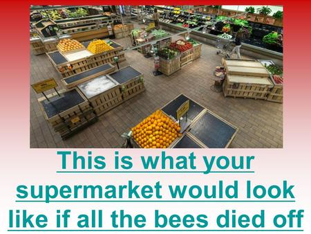 This is what your supermarket would look like if all the bees died off.