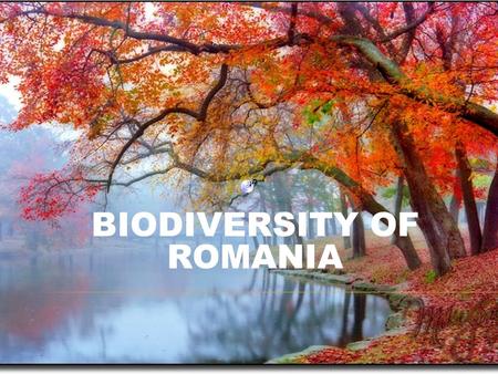 BIODIVERSITY OF ROMANIA.  Biodiversity refers to the variety of genes, species and ecosystems that constitute life on earth.  Our country is famous.