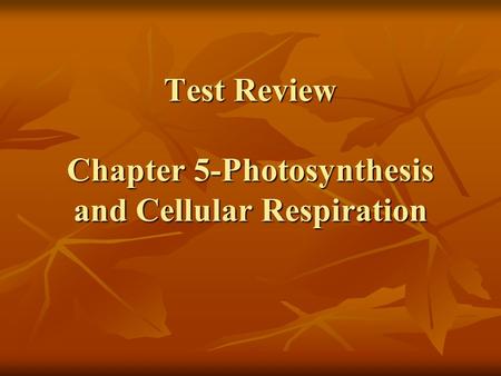 Test Review Chapter 5-Photosynthesis and Cellular Respiration