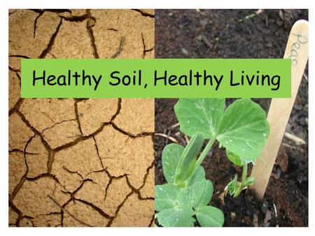 Healthy Soil, Healthy Living