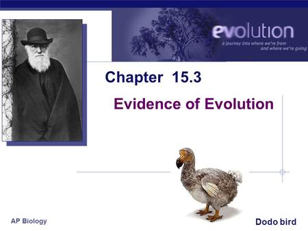 AP Biology 2006-2007 Chapter 15.3 Evidence of Evolution Dodo bird.