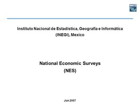 Instituto Nacional de Estadística, Geografía e Informática (INEGI), Mexico National Economic Surveys (NES) Jun 2007.