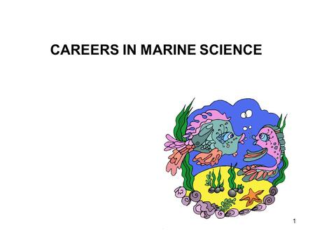 1 CAREERS IN MARINE SCIENCE. 2 Professional employment opportunities that combine specialties: education pollution control international policies of the.