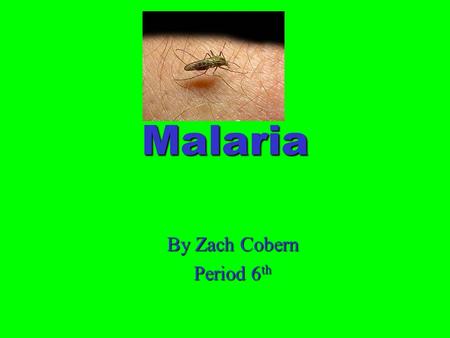Malaria By Zach Cobern Period 6 th. Pathogen Biography Malaria is a bacteria that attacks the red blood cells. This parasitic bacteria is spread from.