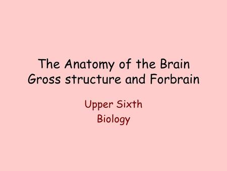 The Anatomy of the Brain Gross structure and Forbrain Upper Sixth Biology.
