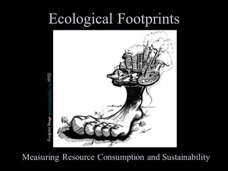 Footprint Image www.sustaindane.org (6/02)www.sustaindane.org Ecological Footprints Measuring Resource Consumption and Sustainability.