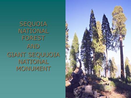 SEQUOIA NATIONAL FOREST AND GIANT SEQUUOIA NATIONAL MONUMENT.
