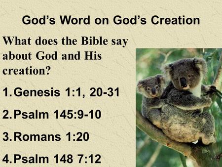 God’s Word on God’s Creation 1.Genesis 1:1, 20-31 2.Psalm 145:9-10 3.Romans 1:20 4.Psalm 148 7:12 What does the Bible say about God and His creation?