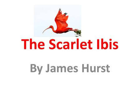 The Scarlet Ibis By James Hurst. Allusion A reference to some person, historical event, literature, work of art, Bible, etc. Her smile was that of the.