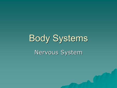 Body Systems Nervous System. Nervous System Functions  Sensory input – sense organs, receptors, –afferent neurons  Integration – Central Nervous System(CNS)