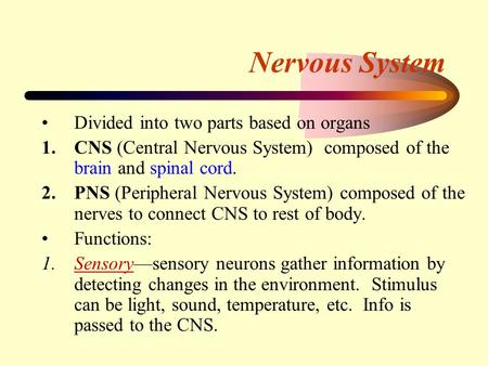 Nervous System Divided into two parts based on organs 1.CNS (Central Nervous System) composed of the brain and spinal cord. 2.PNS (Peripheral Nervous System)