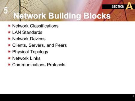 5 SECTION A 1 Network Building Blocks  Network Classifications  LAN Standards  Network Devices  Clients, Servers, and Peers  Physical Topology  Network.