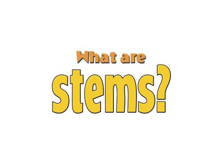 Identifying stems Parts of a plant What is a stem’s job? A stem supports the leaves and flowers.