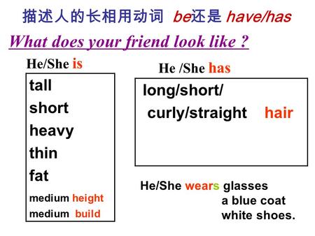 描述人的长相用动词 be 还是 have/has What does your friend look like ? He /She has tall short heavy thin fat medium height medium build long/short/ curly/straight.
