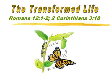 Romans 12:1-2; 2 Corinthians 3:18. If we are being transformed, we will pursue heavenly things. (Colossians 3:1-3) The life that is not being transformed.