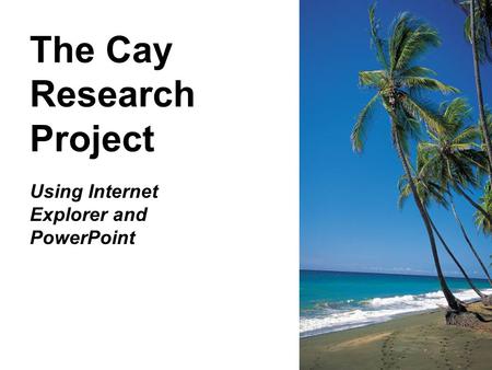 The Cay Research Project