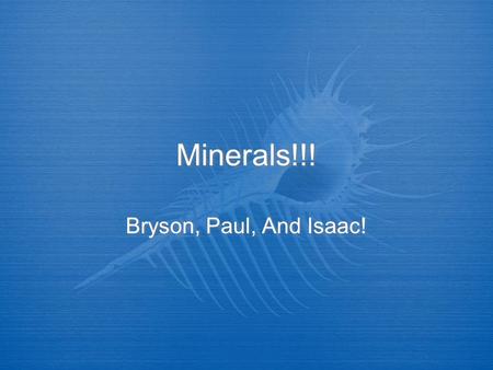 Minerals!!! Bryson, Paul, And Isaac!.