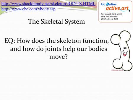 The Skeletal System EQ: How does the skeleton function, and how do joints help our bodies move?
