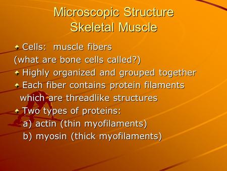 Microscopic Structure Skeletal Muscle Cells: muscle fibers (what are bone cells called?) Highly organized and grouped together Each fiber contains protein.