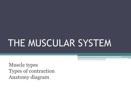 THE MUSCULAR SYSTEM Muscle types Types of contraction Anatomy diagram.
