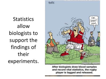 Statistics allow biologists to support the findings of their experiments.