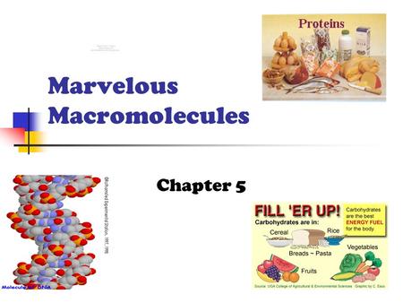 Marvelous Macromolecules Chapter 5 Macromolecules Large molecules formed by joining smaller organic molecules Four Major Classes Carbohydrates Lipids.