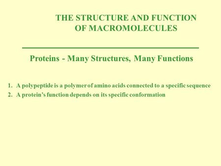 THE STRUCTURE AND FUNCTION OF MACROMOLECULES Proteins - Many Structures, Many Functions 1.A polypeptide is a polymer of amino acids connected to a specific.