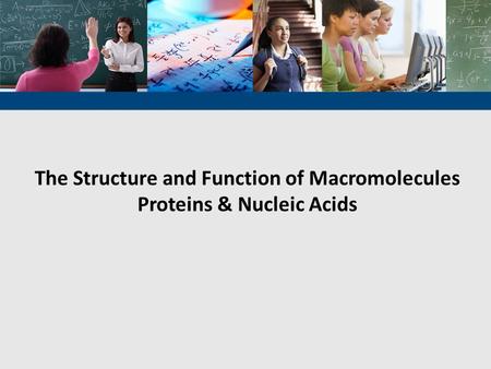 The Structure and Function of Macromolecules Proteins & Nucleic Acids.