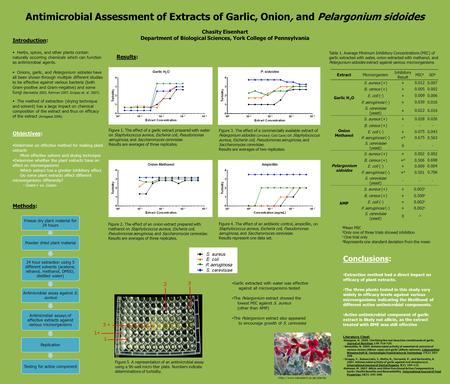 Antimicrobial Assessment of Extracts of Garlic, Onion, and Pelargonium sidoides Chasity Eisenhart Department of Biological Sciences, York College of Pennsylvania.