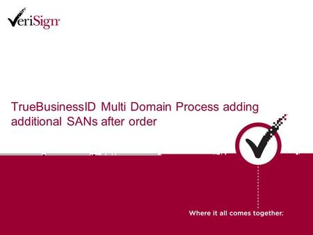 TrueBusinessID Multi Domain Process adding additional SANs after order.