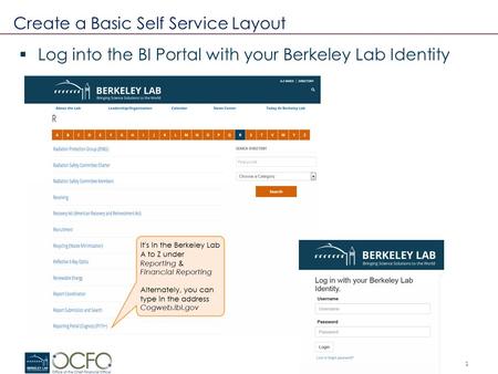 1 Create a Basic Self Service Layout  Log into the BI Portal with your Berkeley Lab Identity.