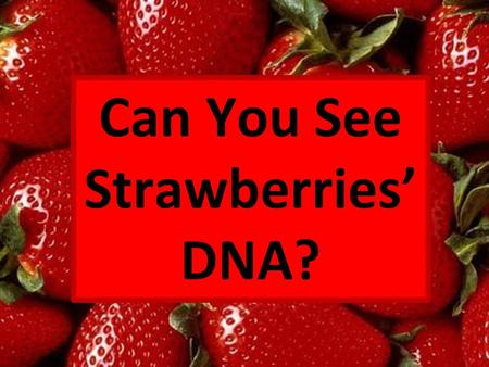 Can You See Strawberries’ DNA?.