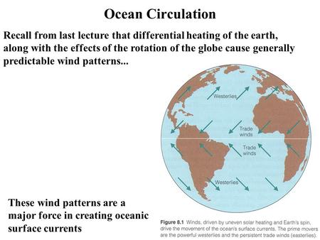 Ocean Circulation Recall from last lecture that differential heating of the earth, along with the effects of the rotation of the globe cause generally.