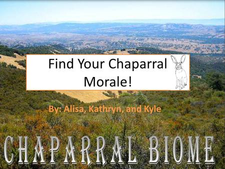 Find Your Chaparral Morale!