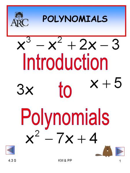 4.3 Introduction to Polynomials