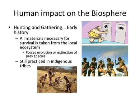 Human impact on the Biosphere