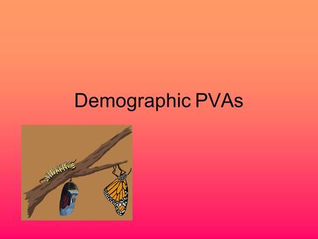Demographic PVAs. Structured populations Populations in which individuals differ in their contributions to population growth.