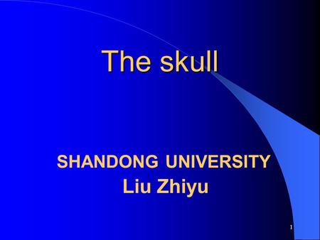 The skull SHANDONG UNIVERSITY Liu Zhiyu
