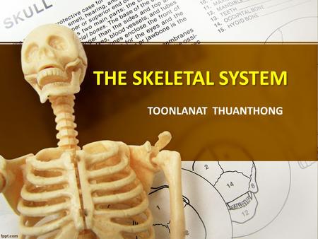 TOONLANAT THUANTHONG THE SKELETAL SYSTEM. Functions of The Skeletal system Support body weight Enable movement Protect vital organs Point of attachment.