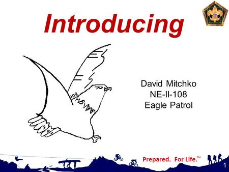 Introducing 1 David Mitchko NE-II-108 Eagle Patrol.