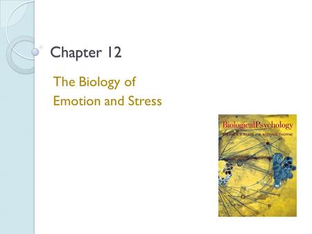 Chapter 12 The Biology of Emotion and Stress. Stress Stressor - An event that either strains or overwhelms the ability of an organism to adjust to the.