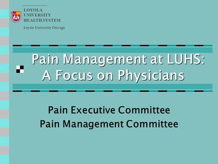 Pain Management at LUHS: A Focus on Physicians Pain Executive Committee Pain Management Committee Loyola University Chicago LOYOLA UNIVERSITY HEALTH SYSTEM.