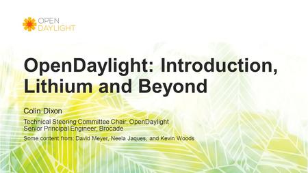 OpenDaylight: Introduction, Lithium and Beyond