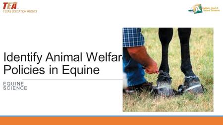 Identify Animal Welfare Policies in Equine EQUINE SCIENCE.